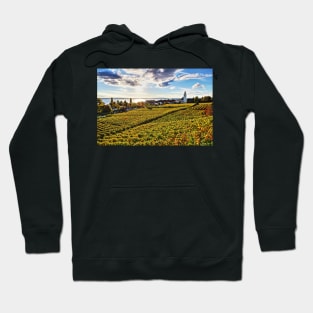 Sunset over Grape Orchards near Hagnau - Lake Constance Hoodie